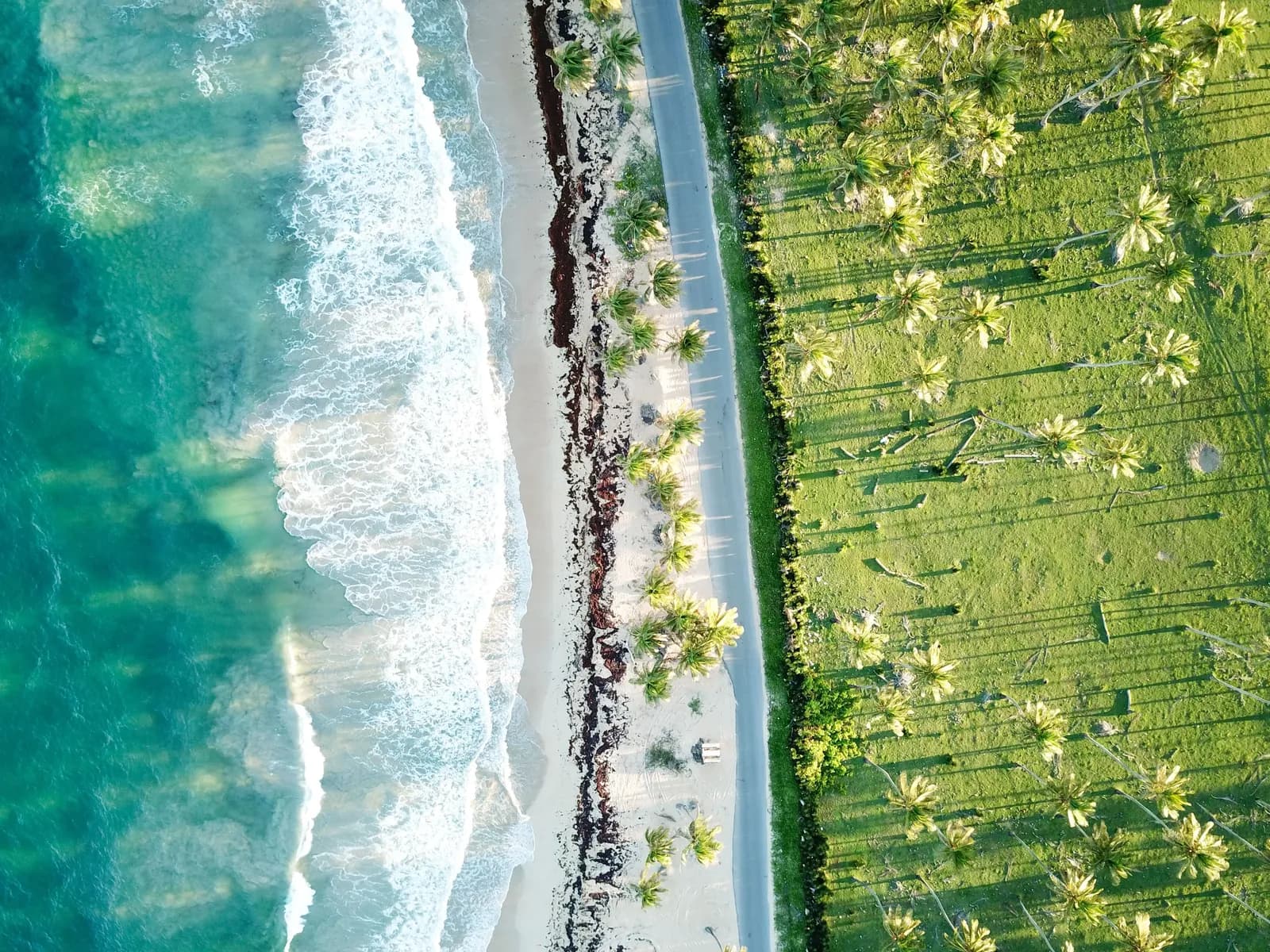 Coastal road winding along the Antigua shoreline
