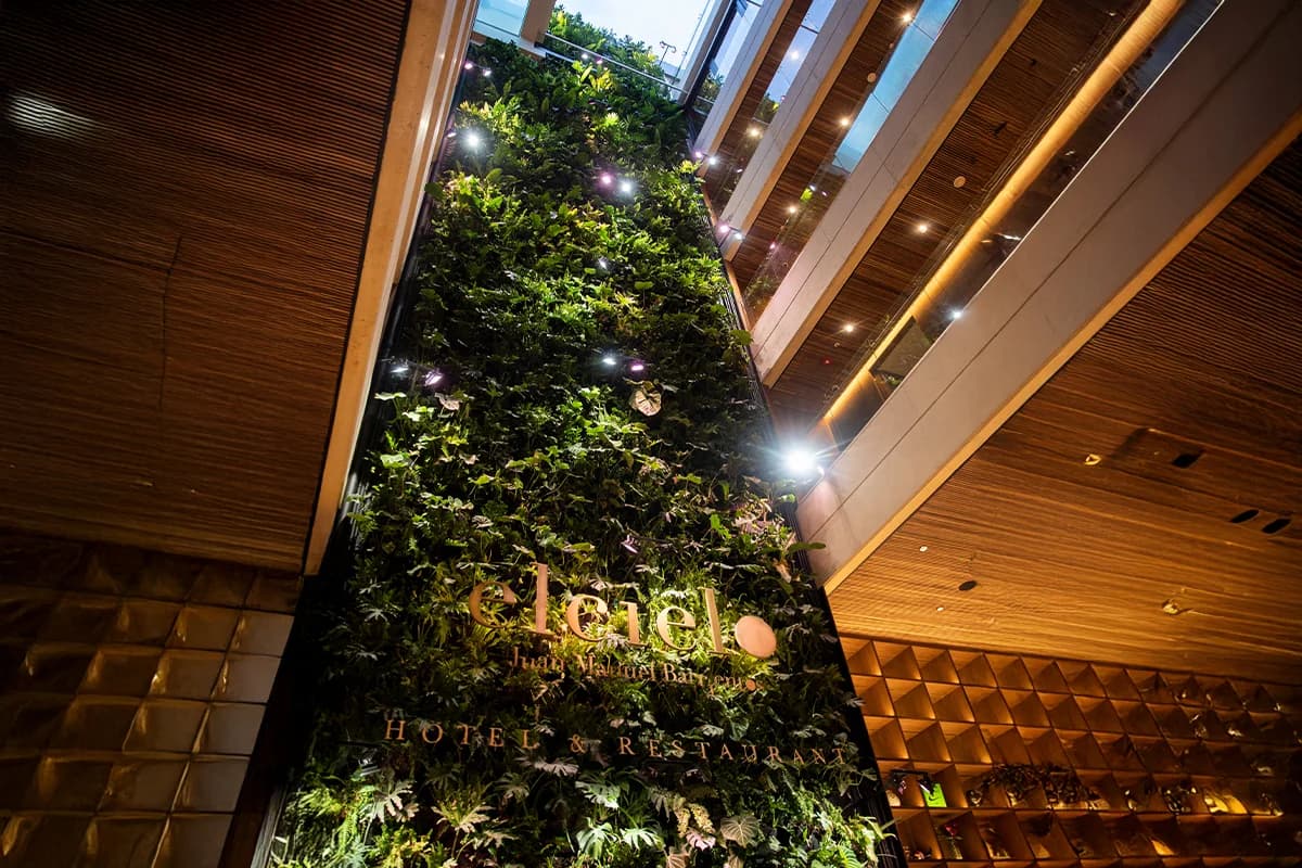 Dramatic living green wall at a boutique hotel in Medellín El Poblado