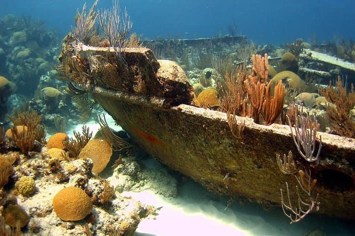 Snorkeler exploring a coral reef and shipwreck in Bermuda's clear water