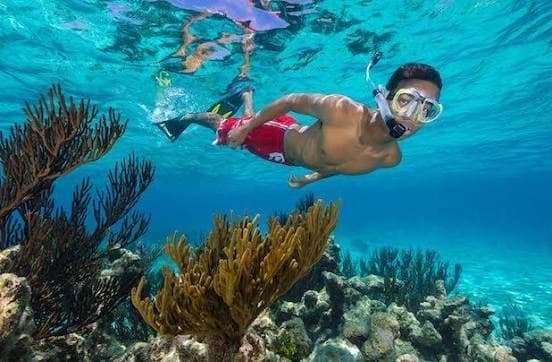 A snorkeler over a bright coral reef in the clear water of the Cayman Islands