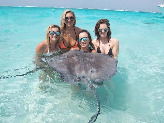 Visitors standing in shallow water with southern stingrays at Stingray City, Grand Cayman