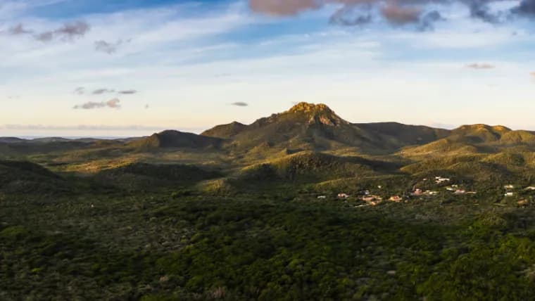 Cacti and trails of Christoffel National Park, Curaçao