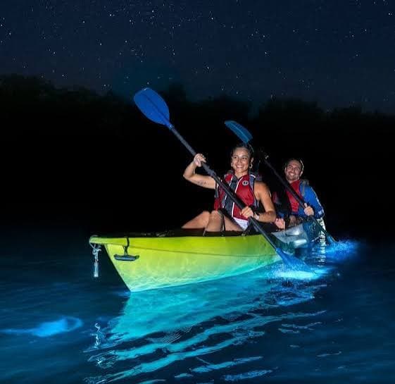Two kayakers paddling at night through glowing blue bioluminescent water under a starry sky