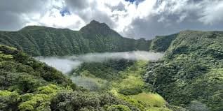 The rainforest slopes of Mount Liamuiga, a dormant volcano on St. Kitts