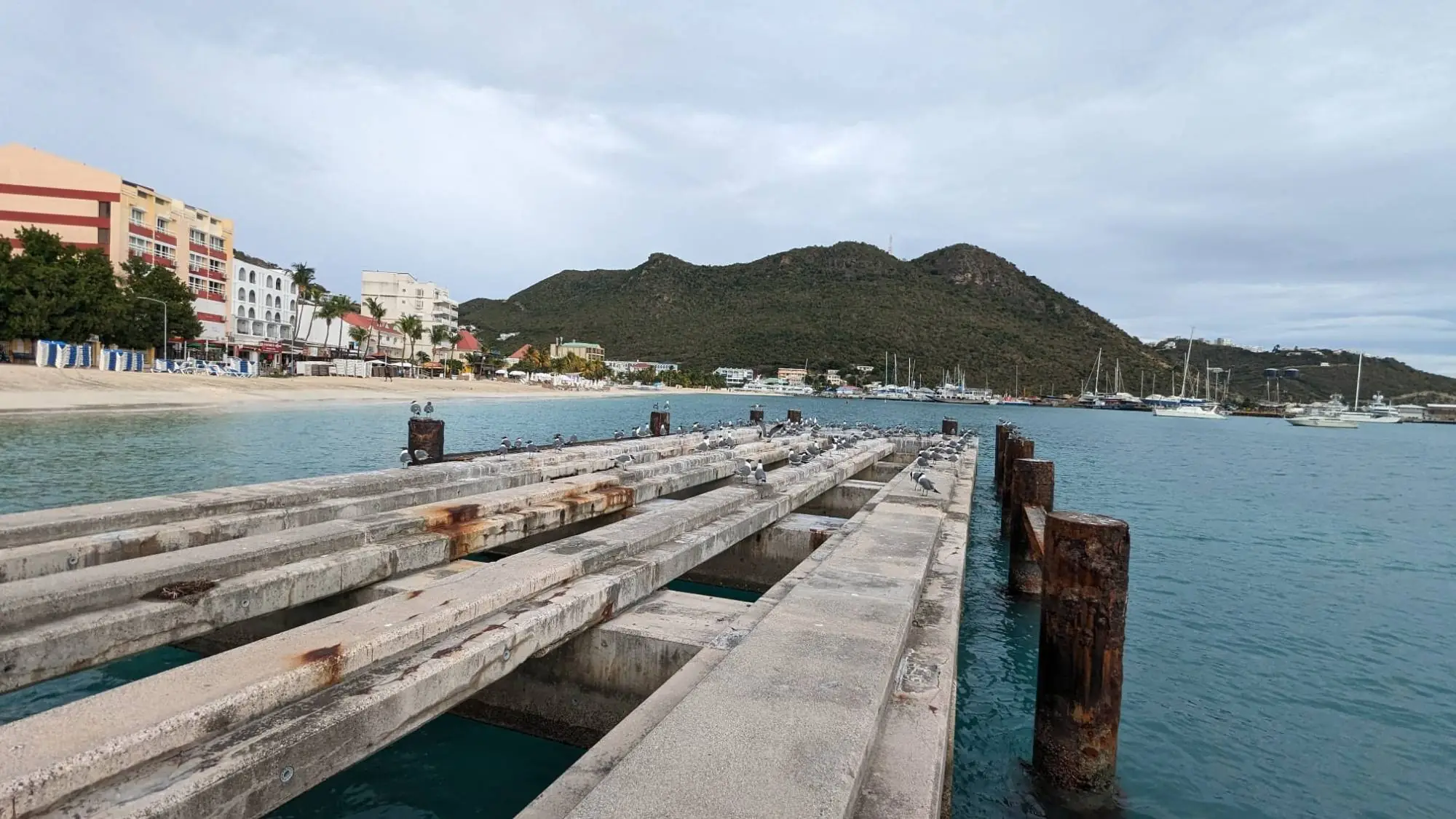 An old concrete pier lined with seabirds beside a sandy bay, beachfront hotels, green hills and a marina on St. Martin