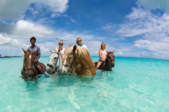 Riders on horseback standing in shallow turquoise water off a Turks and Caicos shoreline