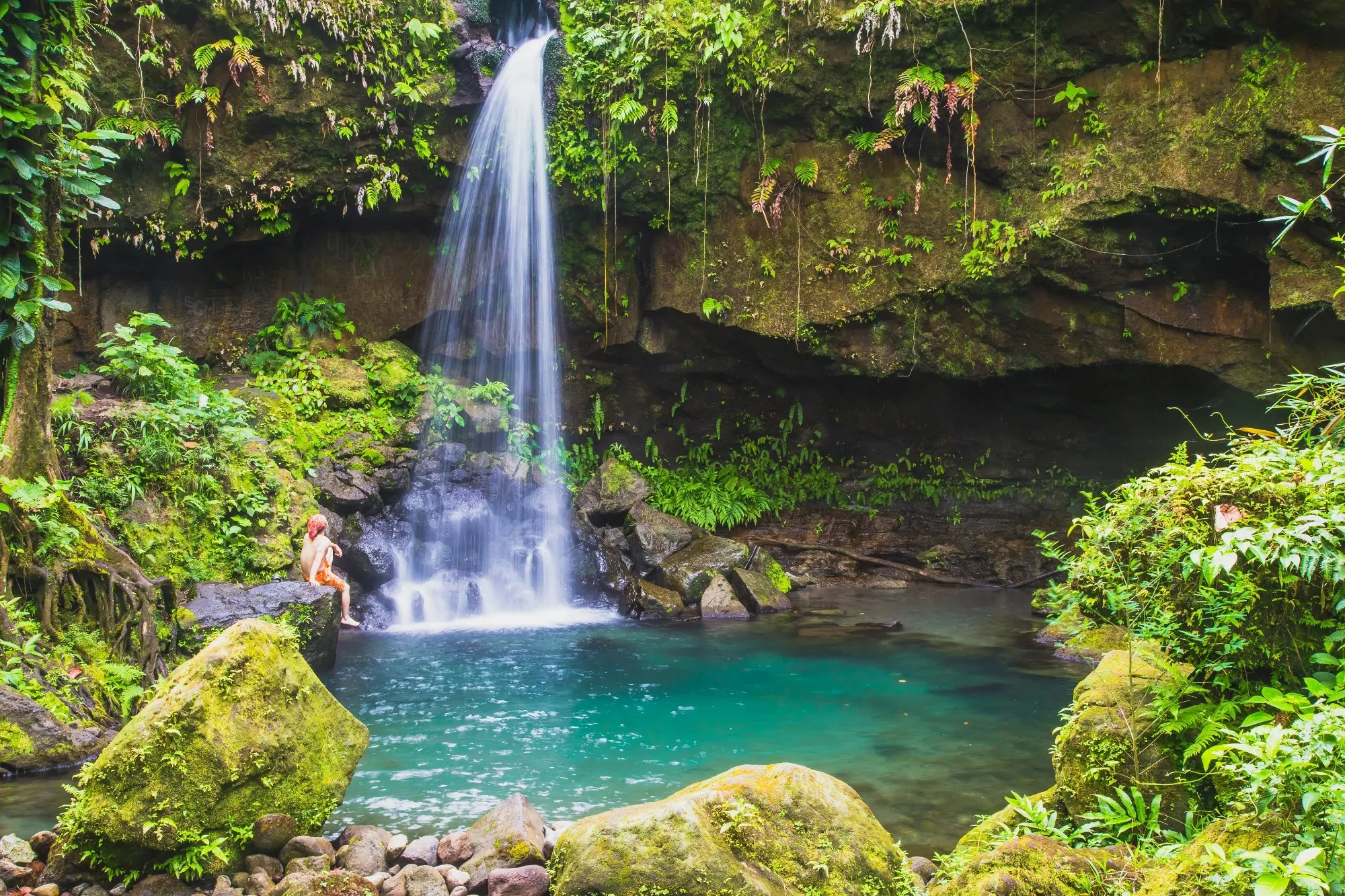 Emerald Pool waterfall in Dominica — turquoise water surrounded by lush rainforest