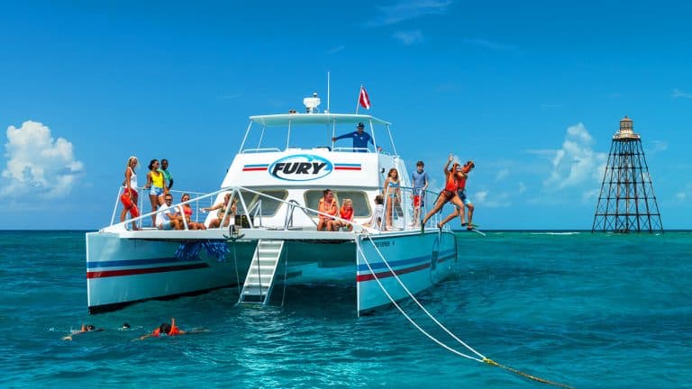 Visitors aboard a white catamaran snorkelling in bright turquoise Caribbean water on a Barbados cruise