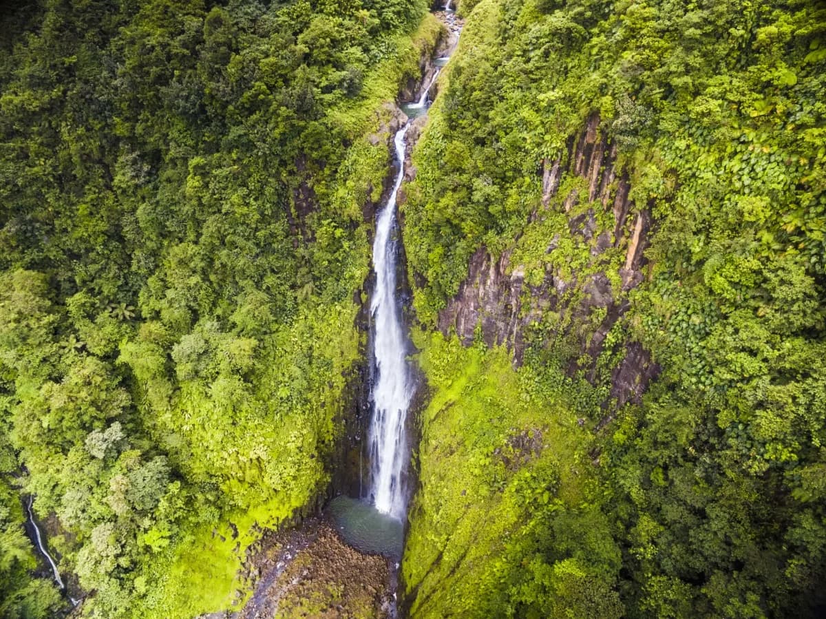 Carbet Falls in the rainforest of Basse-Terre, Guadeloupe