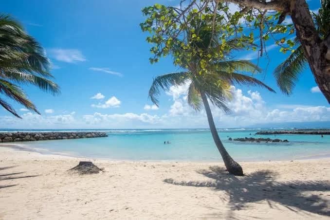 Sainte-Anne beach, Grande-Terre, Guadeloupe