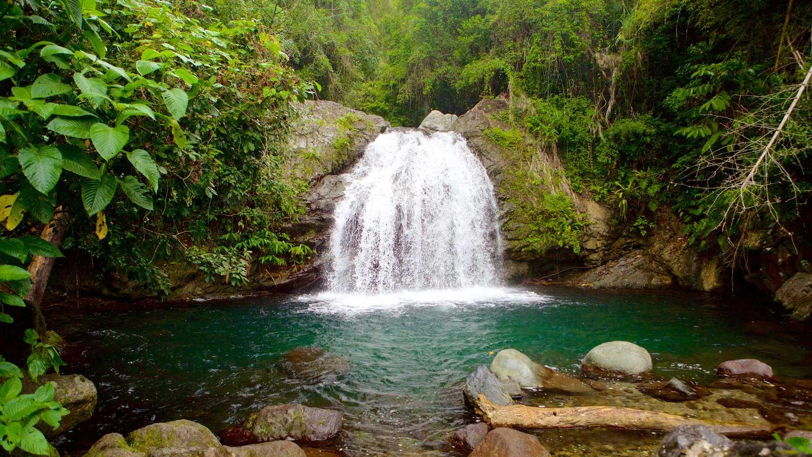 A lush jungle waterfall tumbling into a clear green pool in the Blue Mountains region of Jamaica