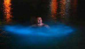 A swimmer surrounded by glowing electric-blue bioluminescent water at the Luminous Lagoon, Falmouth, Jamaica