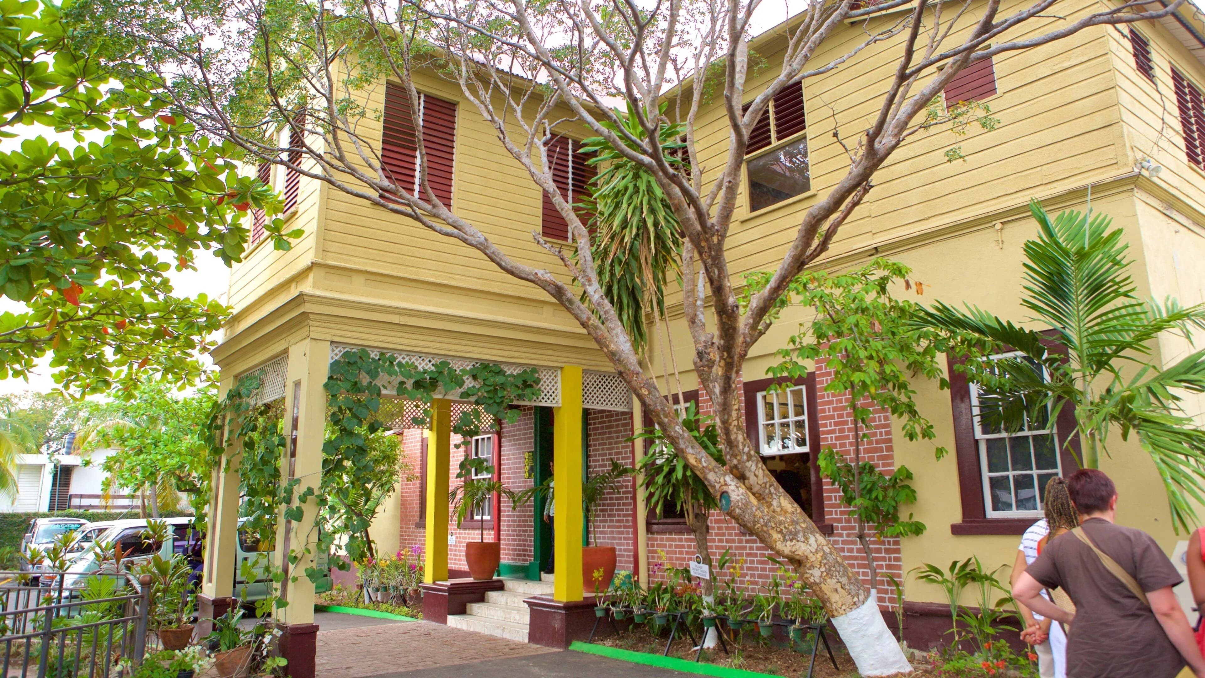 The yellow colonial house of the Bob Marley Museum surrounded by trees in Kingston, Jamaica