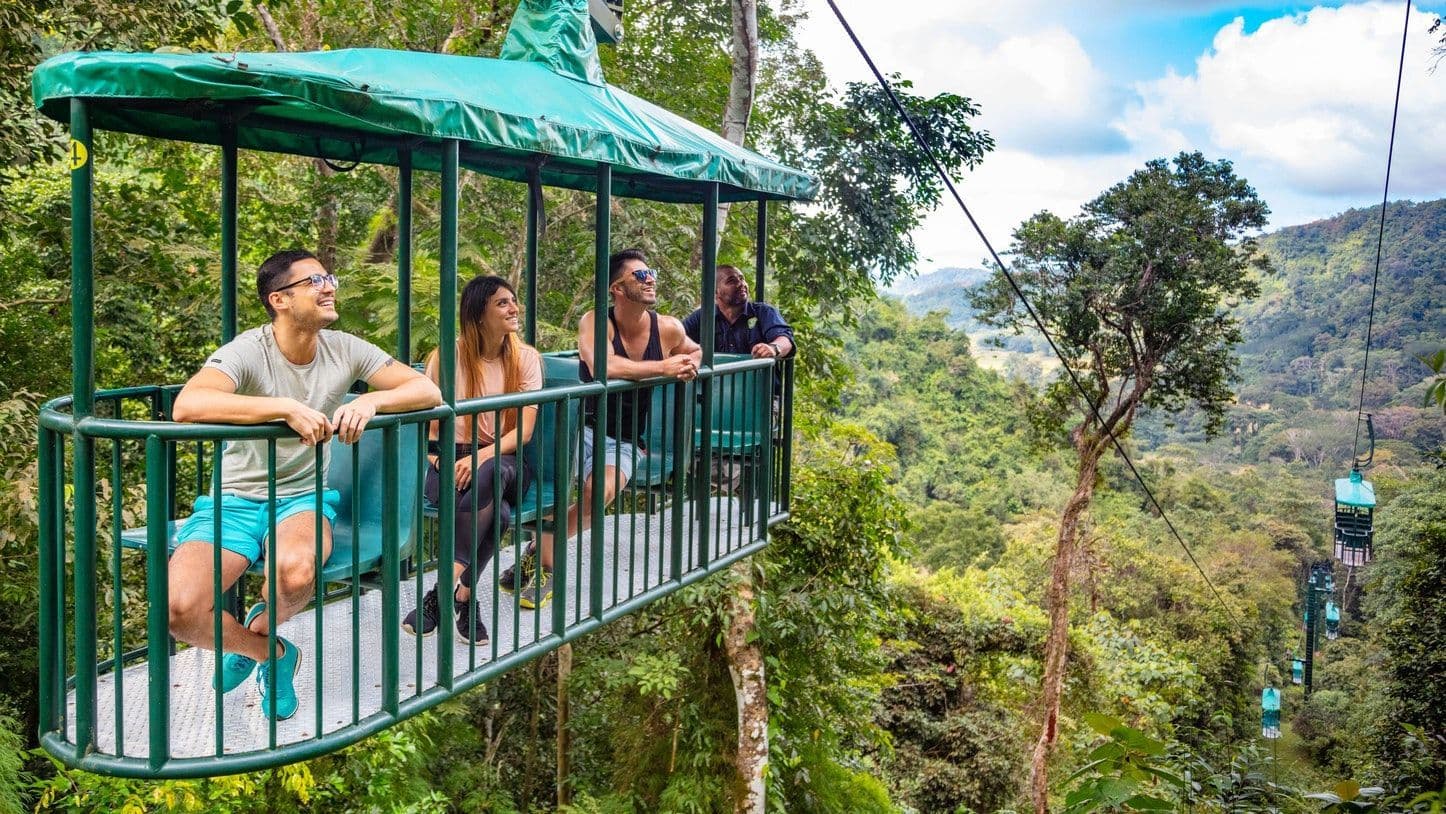 Visitors riding an aerial tram gondola through the lush rainforest canopy in Saint Lucia's mountainous interior