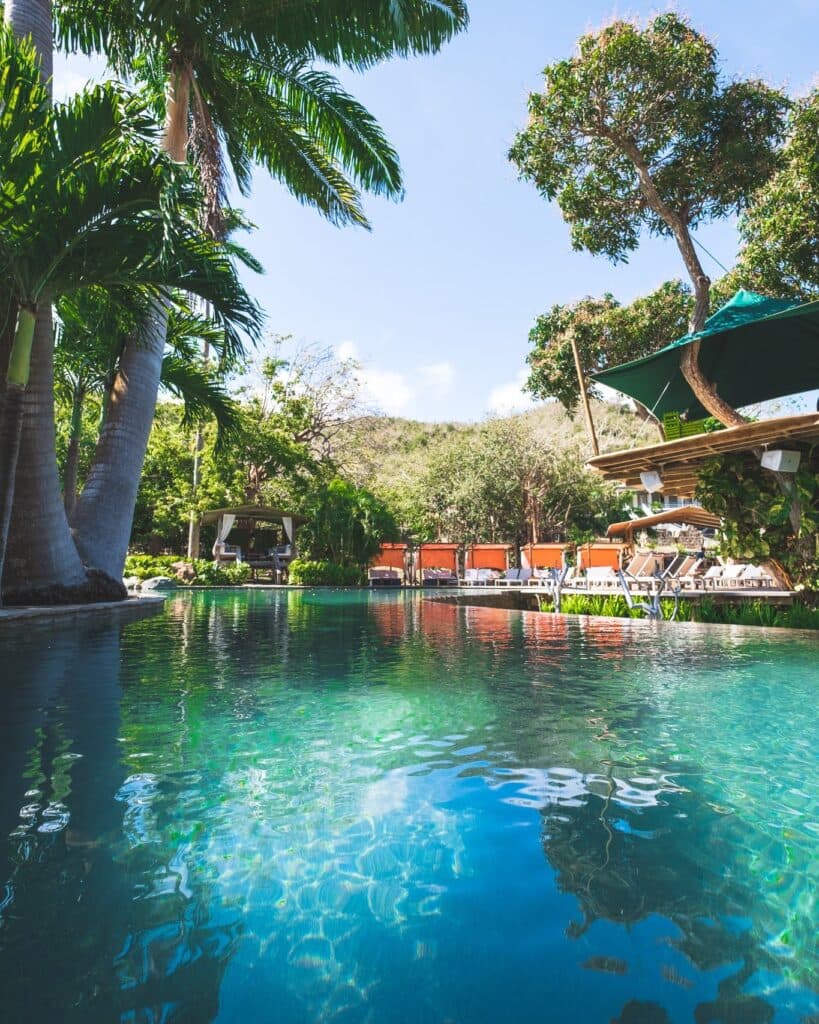 Rainforest zipline and treetops at Loterie Farm on Pic Paradis