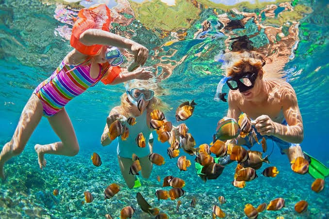 Children snorkeling among tropical fish over a reef in Turks and Caicos