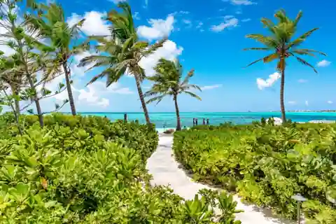 Palm-framed beach path on North Caicos