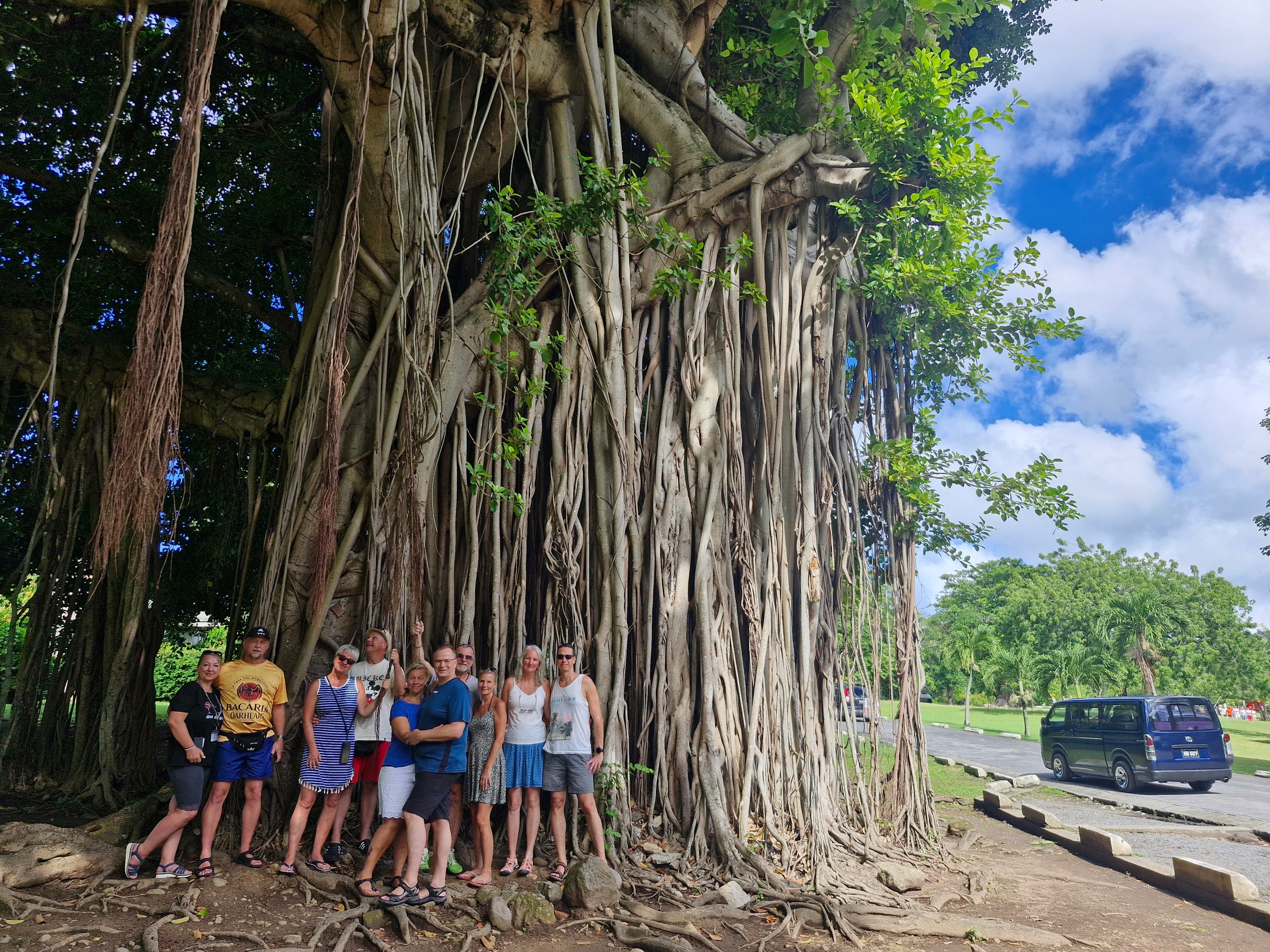 Dominica Rainforest Tour to Trafalgar Falls and Hot Springs Near Roseau