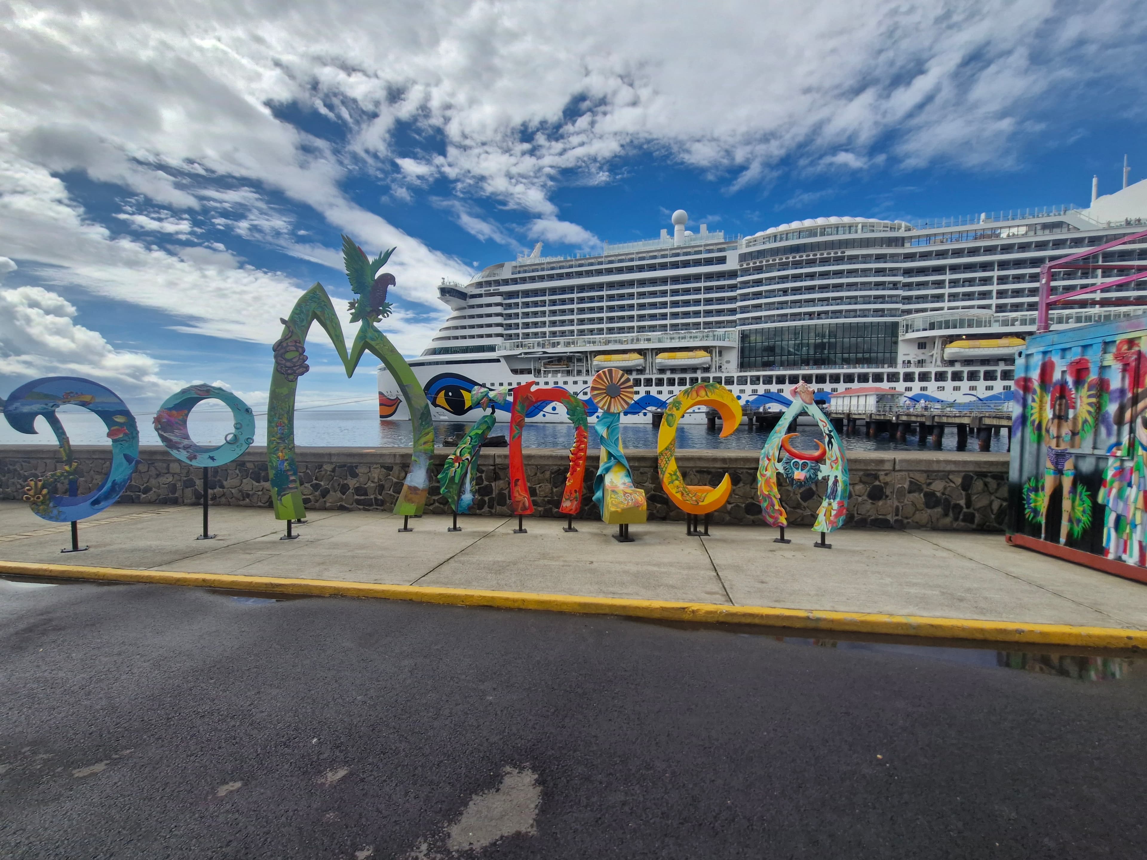 Dominica Rainforest Tour to Trafalgar Falls and Hot Springs Near Roseau - Image 3