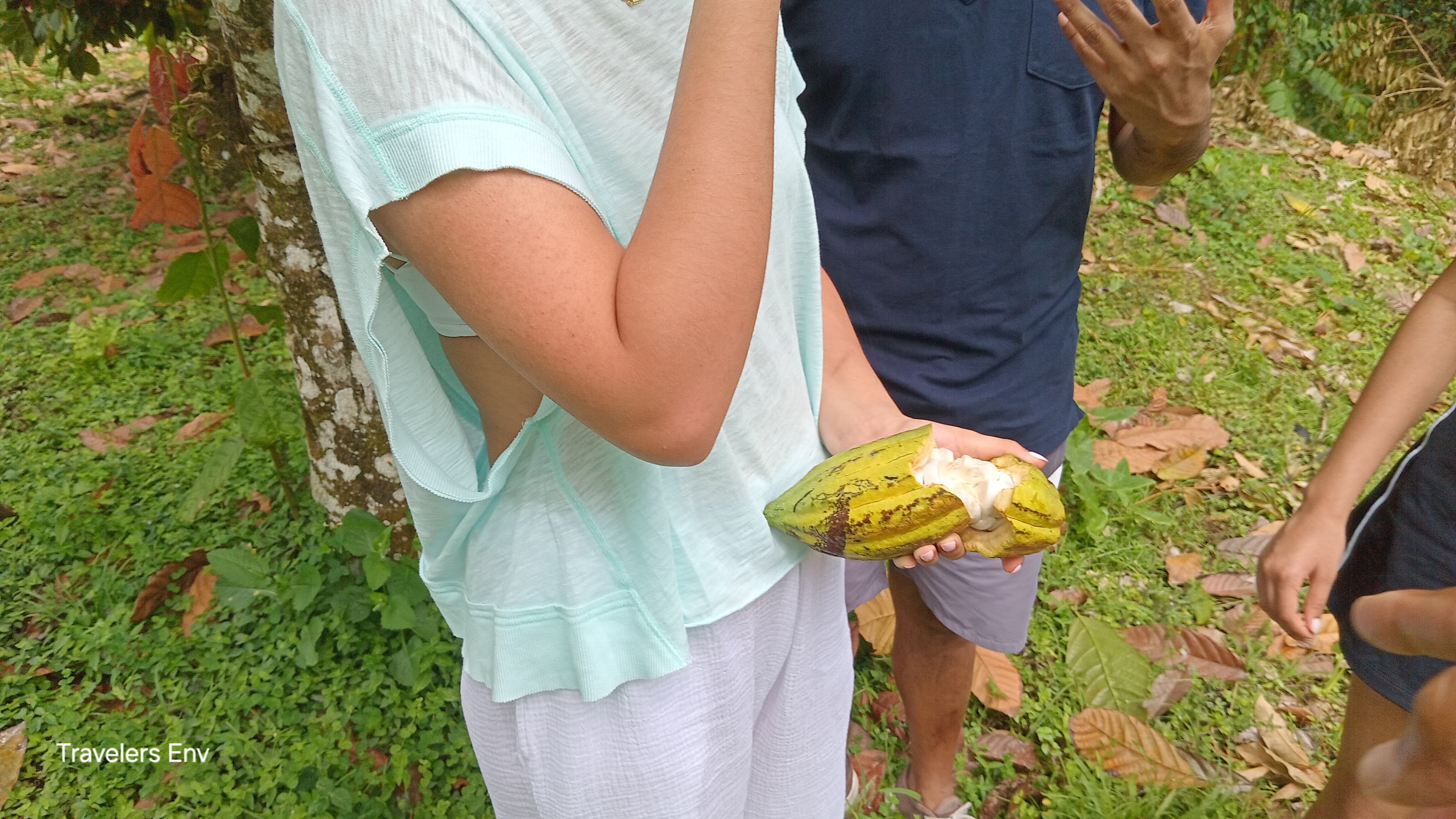 St. Lucia Chocolate Experience with Cacao Plantation Tour and Tasting - Image 3