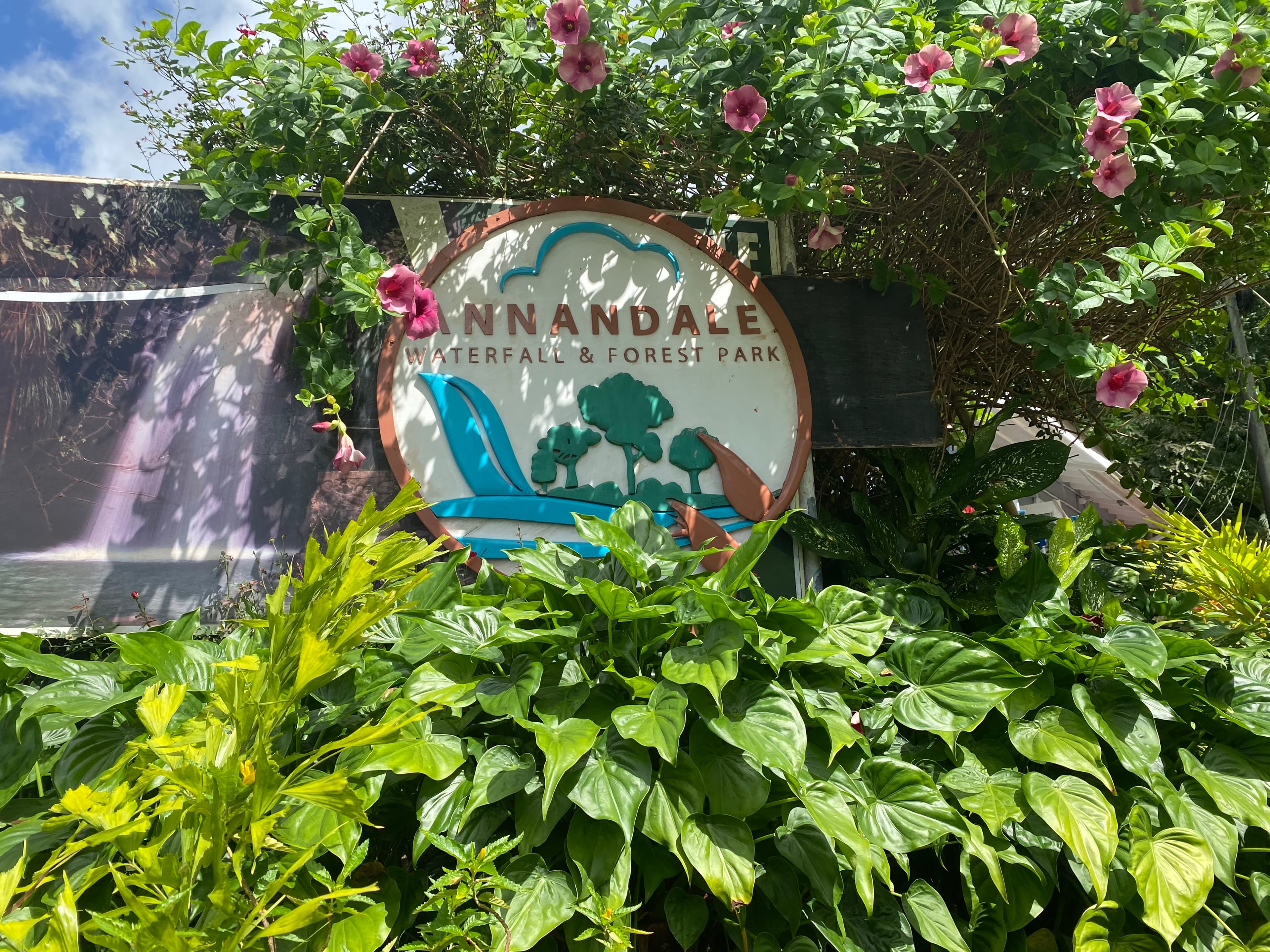 Discover Grenada Spice Island Tour Waterfall And Beach Experience - Image 2