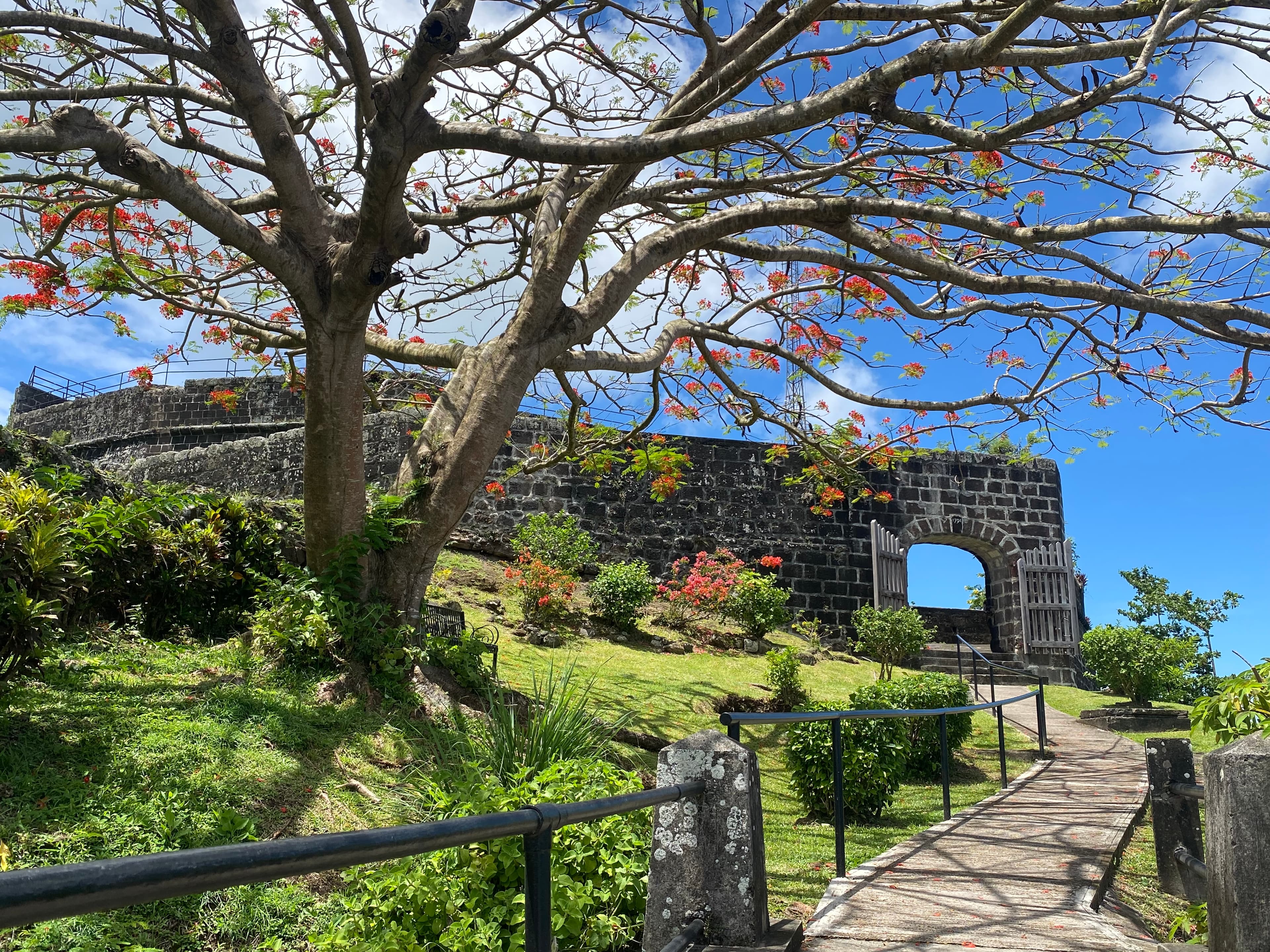 Discover Grenada Spice Island Tour Waterfall And Beach Experience - Image 8