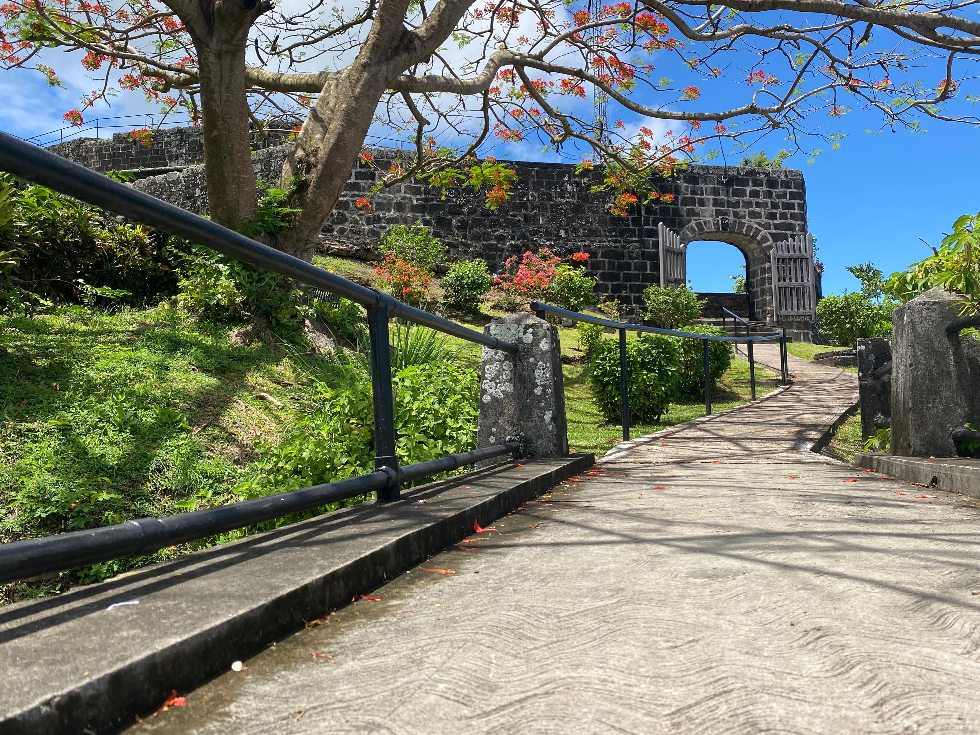 Discover Grenada Spice Island Tour Waterfall And Beach Experience - Image 9