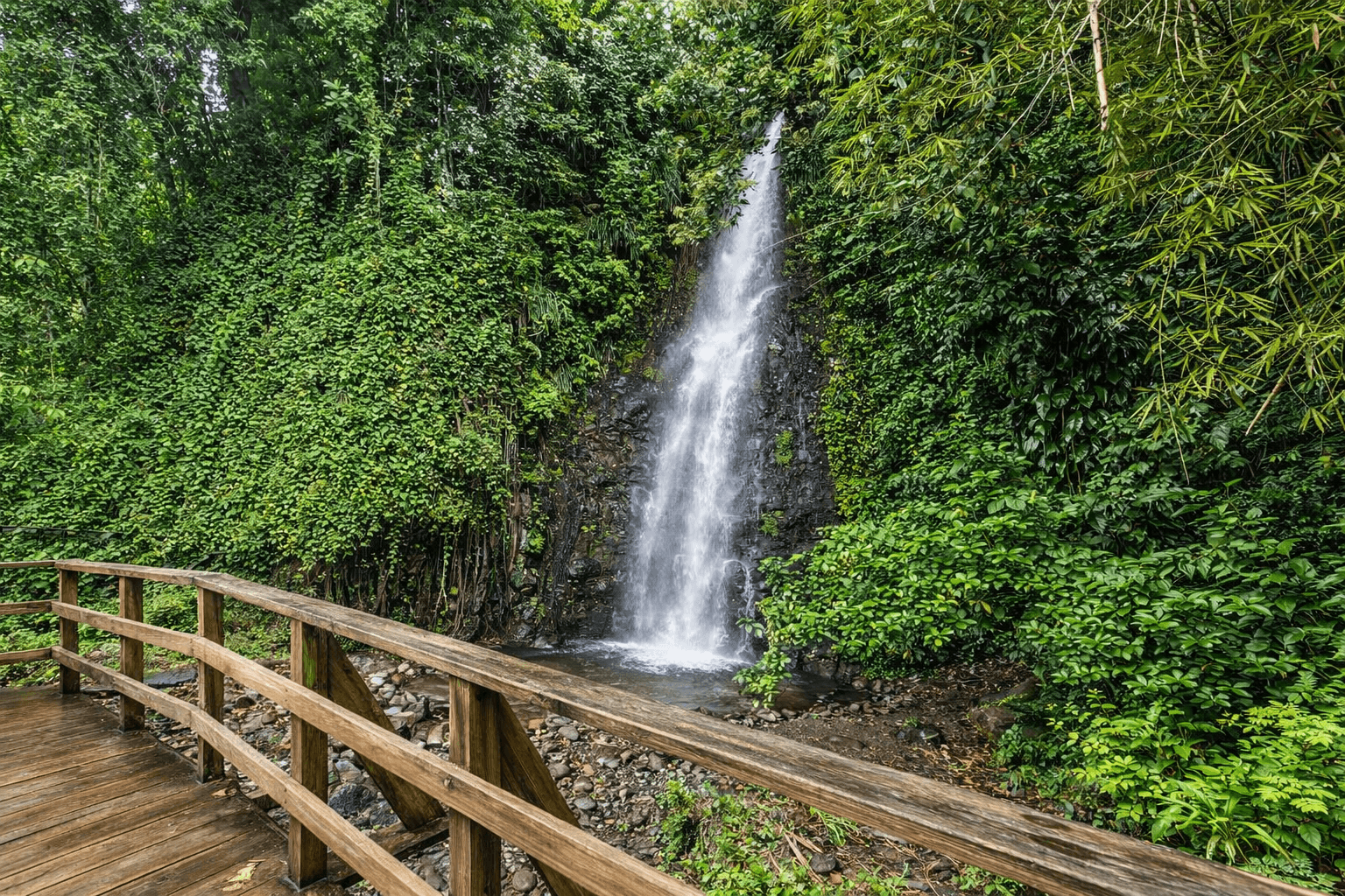 Dark View Falls & Leeward Coast Discovery Tour