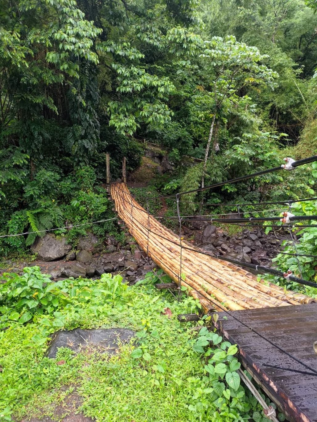 Dark View Falls & Leeward Coast Discovery Tour - Image 2