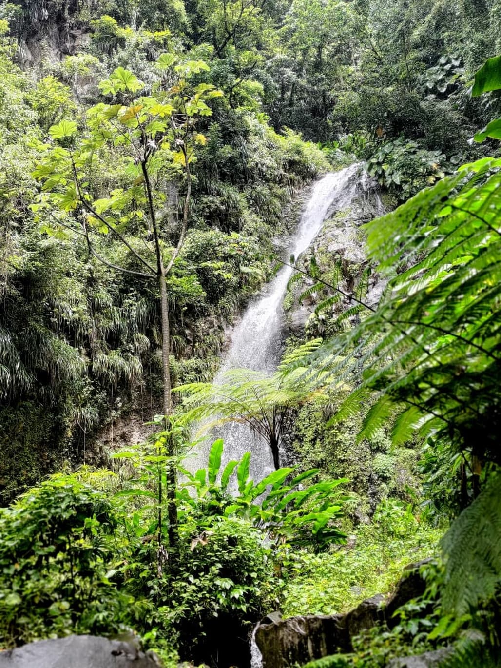 Dark View Falls & Leeward Coast Discovery Tour - Image 3