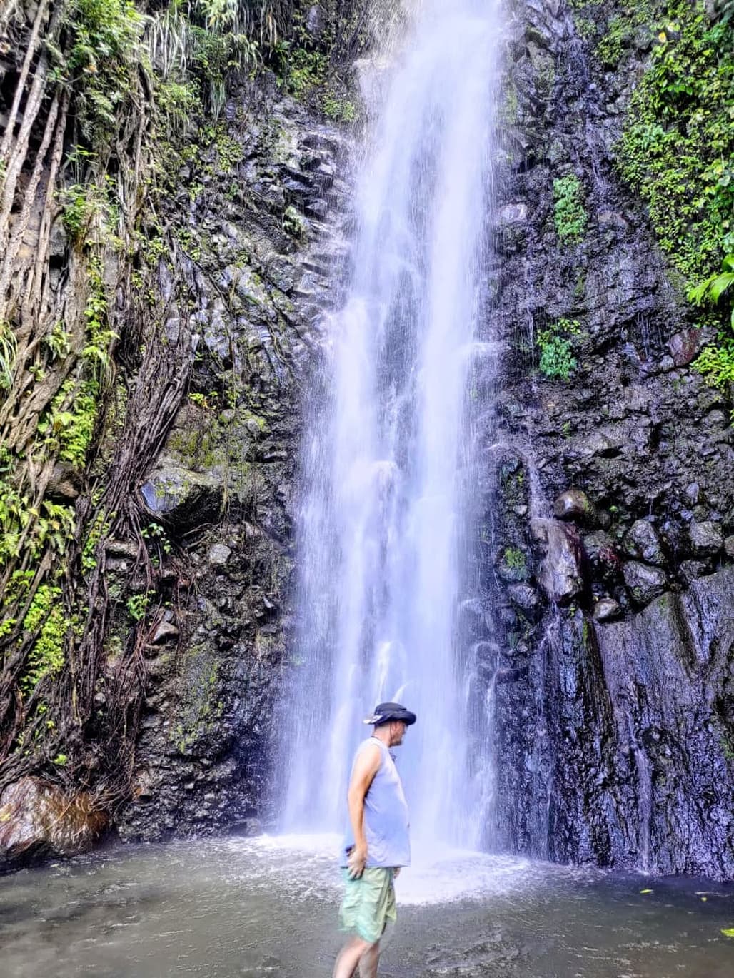 Dark View Falls & Leeward Coast Discovery Tour - Image 4